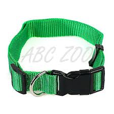 zeleny obojok    20 z. zub.