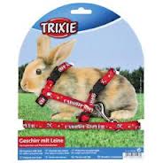 cerveny s napisom    30 z.z.