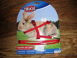 cerveny obojok      20z.z.